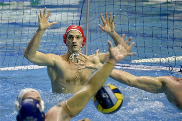 Férfi vízilabda BL - FTC-Telekom Waterpolo - Novi Beograd 