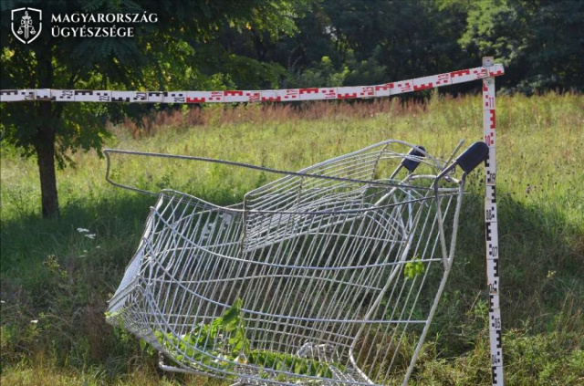 Bevásárlókocsit toltak a vonat elé