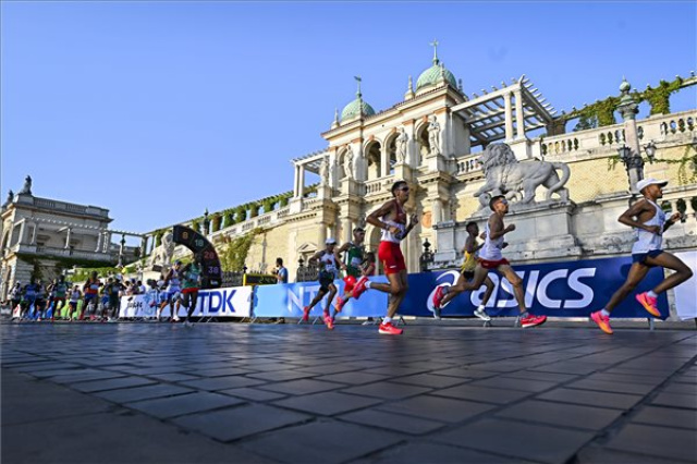 Atlétikai vb - Férfi maraton
