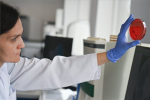 Innovatív laboratóriumi hálózatot hozott létre a TritonLife
