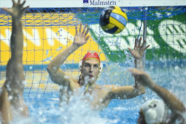 Férfi vízilabda BL - FTC-Telekom-Jadran Split