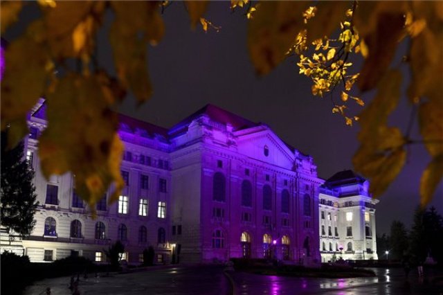koraszülöttek világnapja Szeged