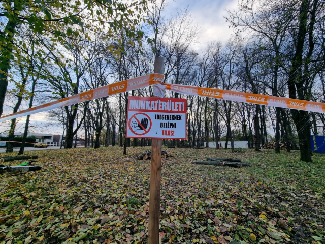 Kállay liget gyérítés