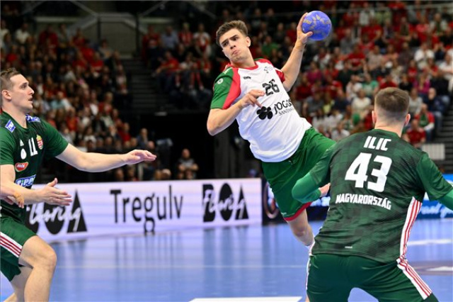 Férfi kézilabda olimpiai selejtező - Magyarország-Portugália 