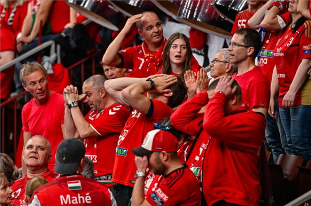 Férfi kézilabda Bajnokok Ligája - Telekom Veszprém - Aalborg HB