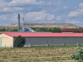 Sándorfalvi út melletti szeméttelep