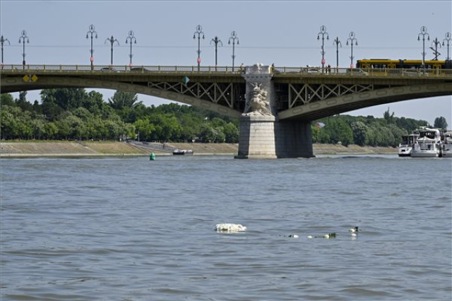 Dunai hajóbaleset - A Budapesti Rendőr-főkapitányság megemlékezése 