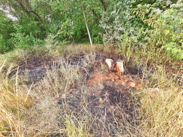 Kigyulladt a Kukorica utca közelében lévő kiserdő
