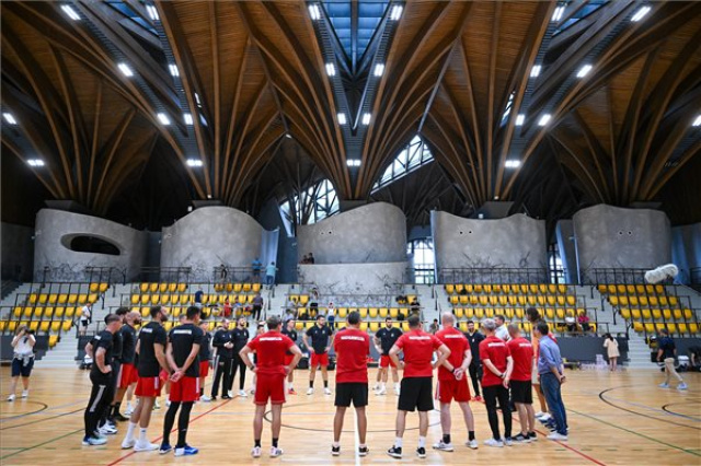 Férfi kézilabda olimpiai felkészülés - A magyar válogatott edzése 