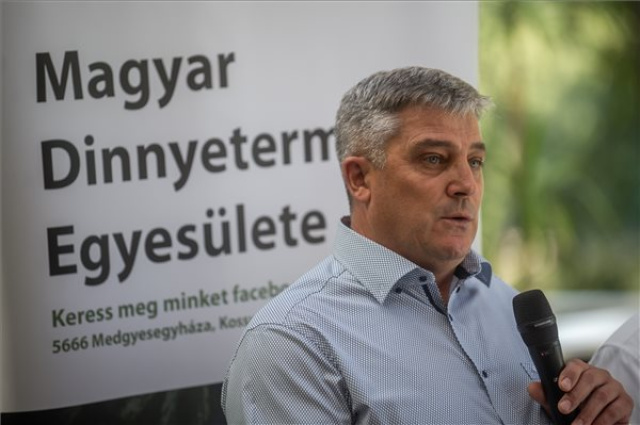 A dinnye fogyasztását ösztönző kampány indult