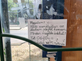 Párt keres