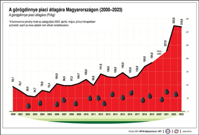 Szedik a görögdinnyét Csány közelében 