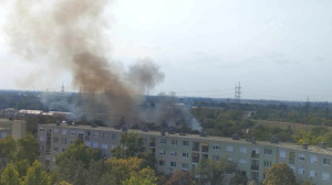 Nádas, fás terület gyulladt ki Szeged határában