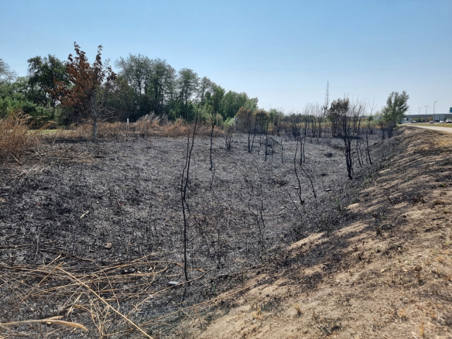 Tűz a 47-es főút mellett
