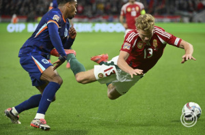 Magyar-holland NL