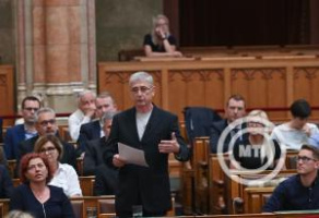 Gyurcsány Ferenc