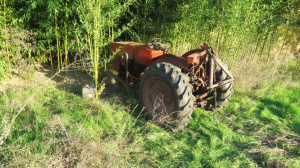 Lopott traktor Csongrádon