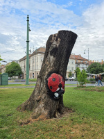Megszabadították a lombkoronájától a katicás fát