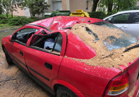 Két autóra dőlt egy fa a Fésű utcában