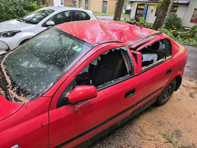 Két autóra dőlt egy fa a Fésű utcában