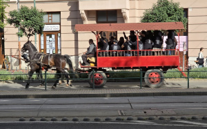 Szerenád Szeged utcáin