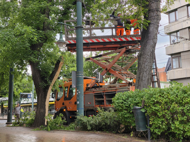 Lehasadt faág a Tisza Lajos körúton