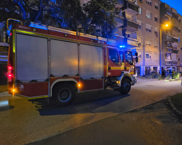 Fának rohant egy autó a Petresi utcában