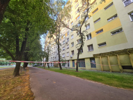 Balesetveszélyes faág az Űrhajós utcában