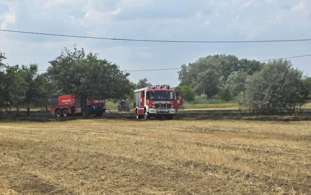 Bozóttűz Sándorfalva közelében