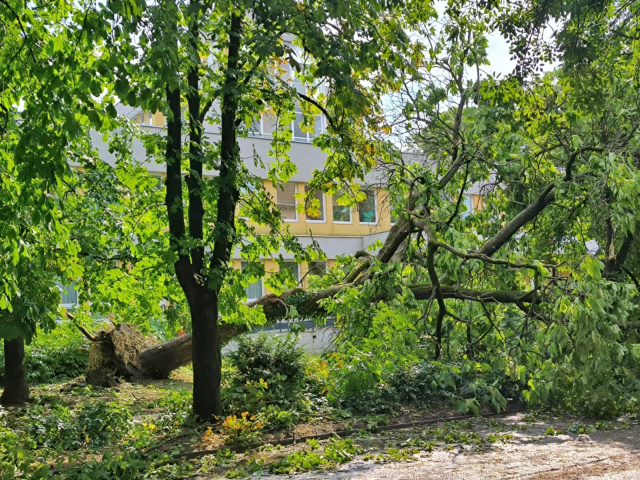 Jelentős károkat okozott a vihar Szegeden