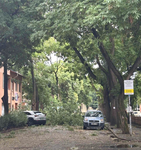 Jelentős károkat okozott a vihar Szegeden