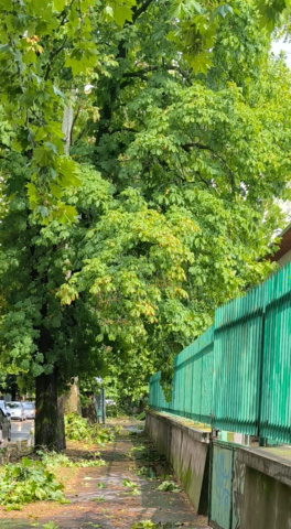 Jelentős károkat okozott a vihar Szegeden