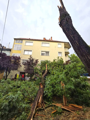Jelentős károkat okozott a vihar Szegeden