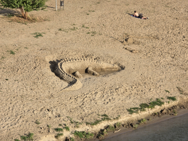 Homokkrokodil a Lapos beachen