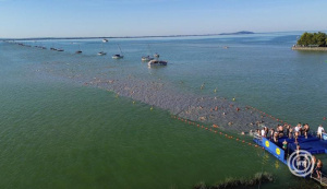 43. Lidl Balaton-átúszás