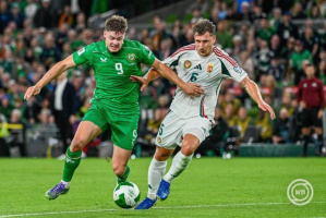Írország-Magyarország-vb-selejtező