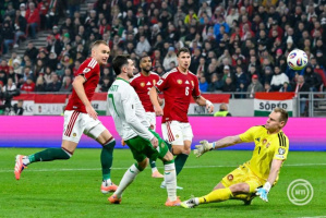 Magyarország-Írország-Vb-selejtező