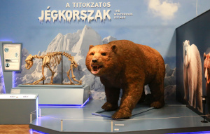 Jégkorszak-kiállítás