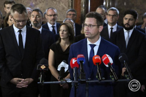 Gulyás-Gergely