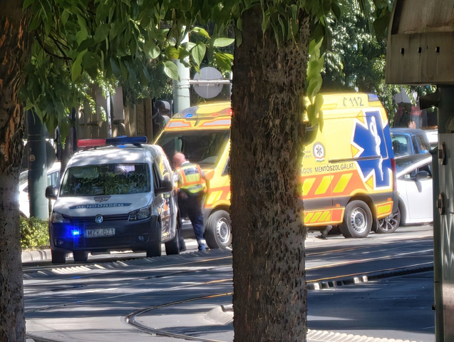 Nőt ütöttek el a Tisza Lajos körúton