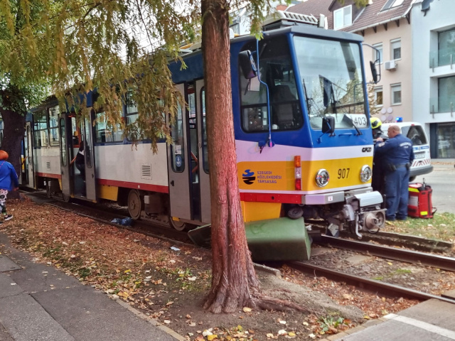 Elütött egy embert a 4-es villamos Szegeden