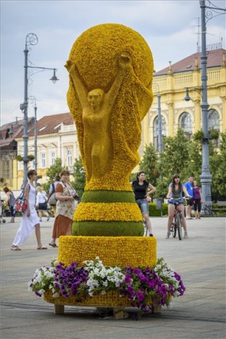 Vb-2014 - Virágból készült kupával tiszteleg Debrecen
