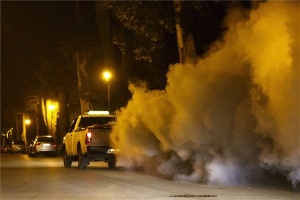 Kémiai szúnyoggyérítés Nagykanizsán 