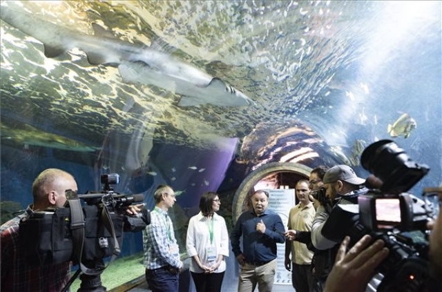 A cápatartásról tanácskoznak a világ tengerbiológusai a Nyíregyházi Állatparkban