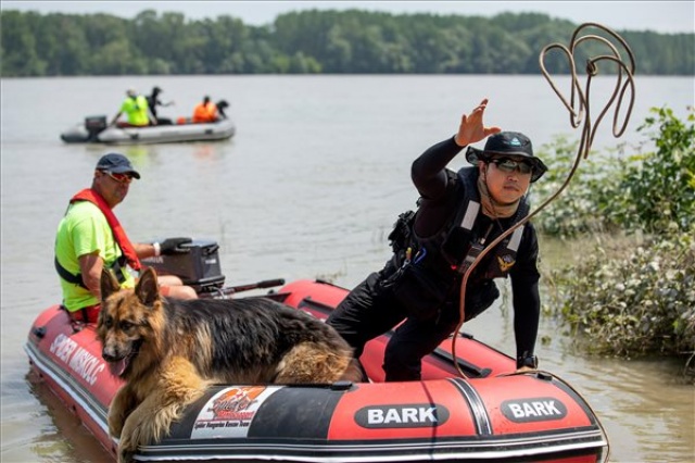 Dunai hajóbaleset - Kutyákkal is keresik az áldozatokat Dunaújvárosnál