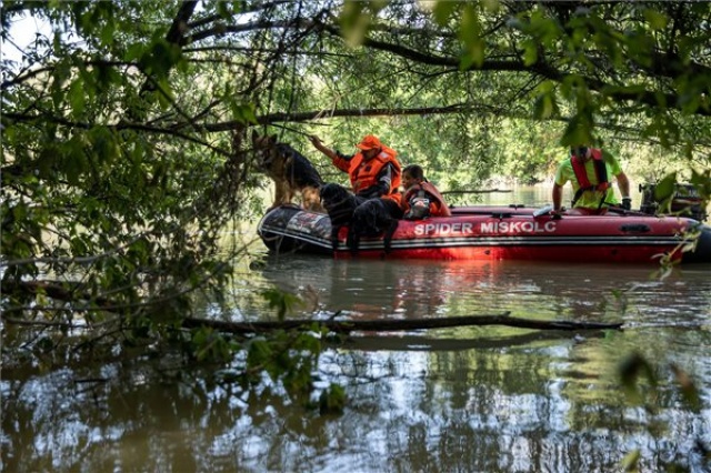 Dunai hajóbaleset - Kutyákkal is keresik az áldozatokat Dunaújvárosnál