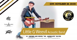 Little G Weevil Acoustic Band Koncert