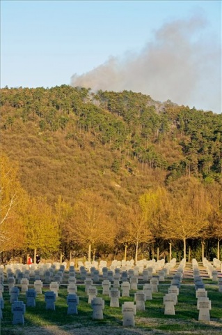 Erdőtűz Budaörsön