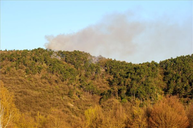 Erdőtűz Budaörsön