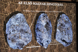 Az első magyarországi dinoszaurusz-tojás leletek bemutatója a Magyar Természettudományi Múzeumban 
